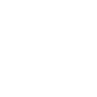We Sample It Logo